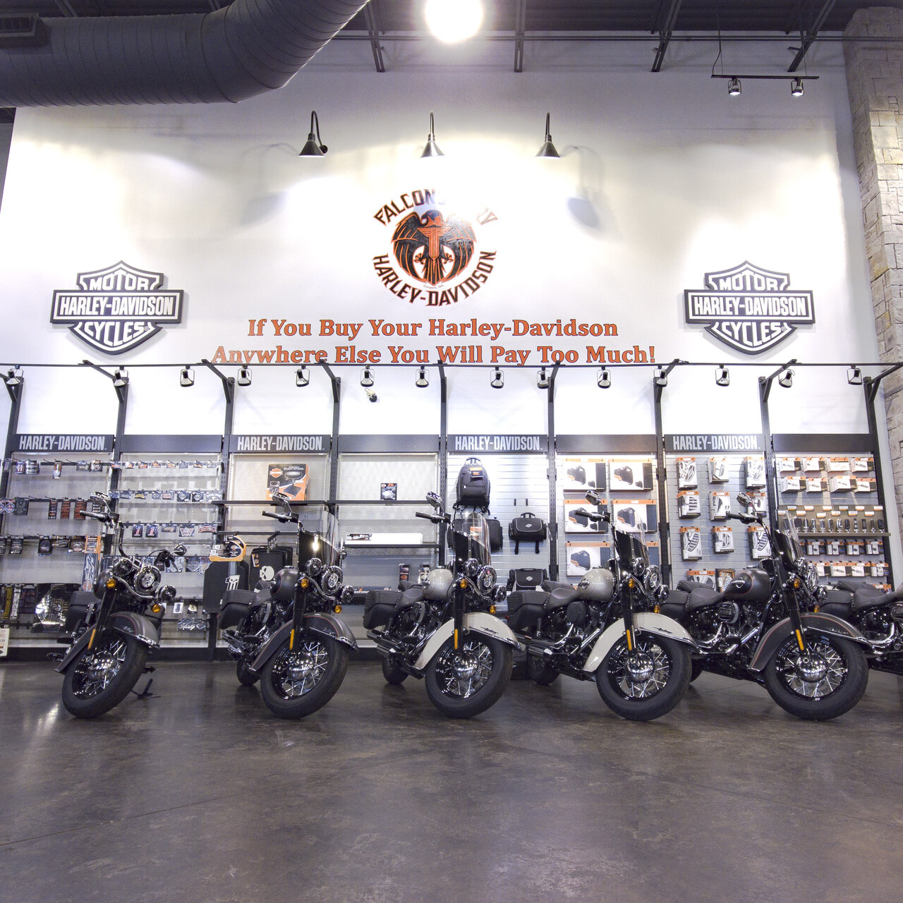 Falcons Fury Harley Davidson